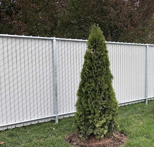 6' Hi Galvanized Commercial Grade Chain LInk Fence With Privacy Link Slats - Close-up View To See Privacy Provided